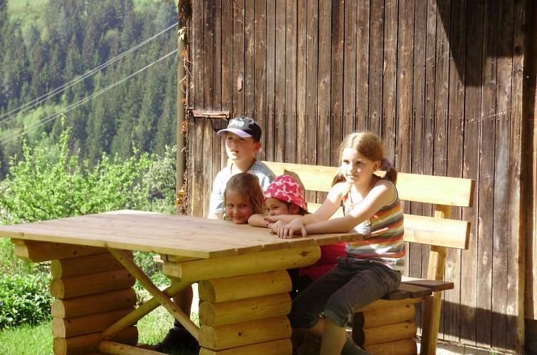 Vakantiehuis Schmiedbauer Hütt`n