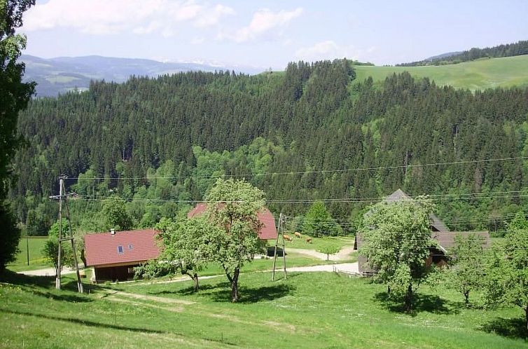 Vakantiehuis Schmiedbauer Hütt`n