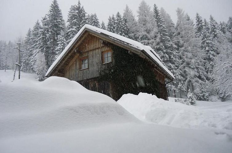 Vakantiehuis Schmiedbauer Hütt`n