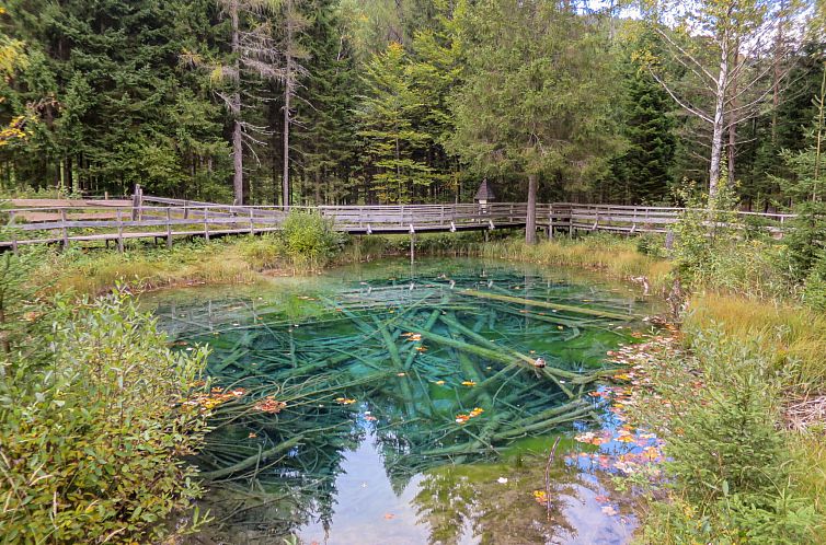 Vakantiehuis Chalet Bodental 28