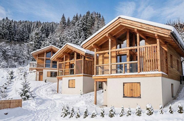 Chalet in Sankt Stefan