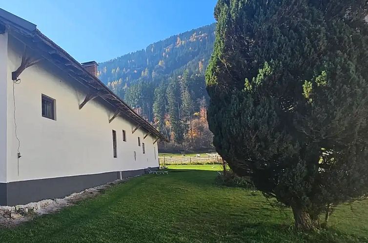 Ferien- und Pferdegut: Die Kuche