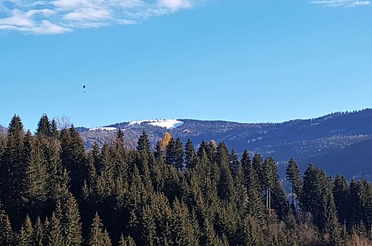 Mangartblick