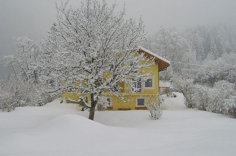 Appartement Ruhige Ferienwohnung in Feld am See