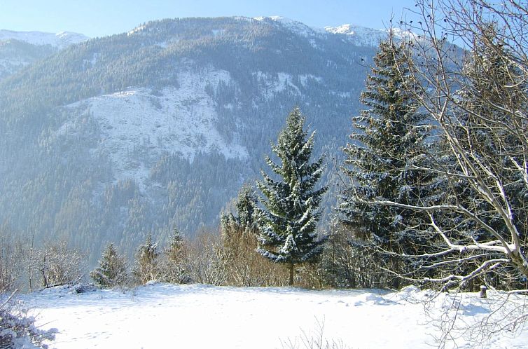 Appartement Ruhige Ferienwohnung in Feld am See