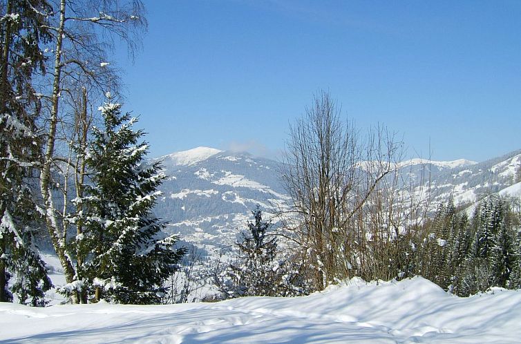 Appartement Ruhige Ferienwohnung in Feld am See