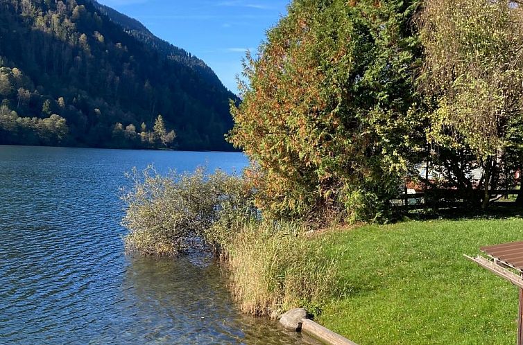 Appartement im Haus Seebrauer in Feld am See