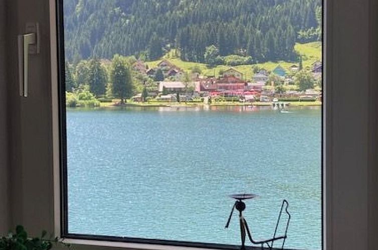 Appartement im Haus Seebrauer in Feld am See