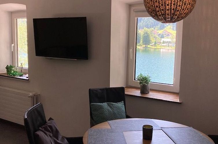 Appartement im Haus Seebrauer in Feld am See