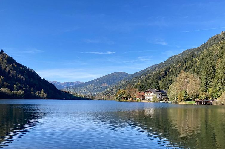 Appartement im Haus Seebrauer in Feld am See