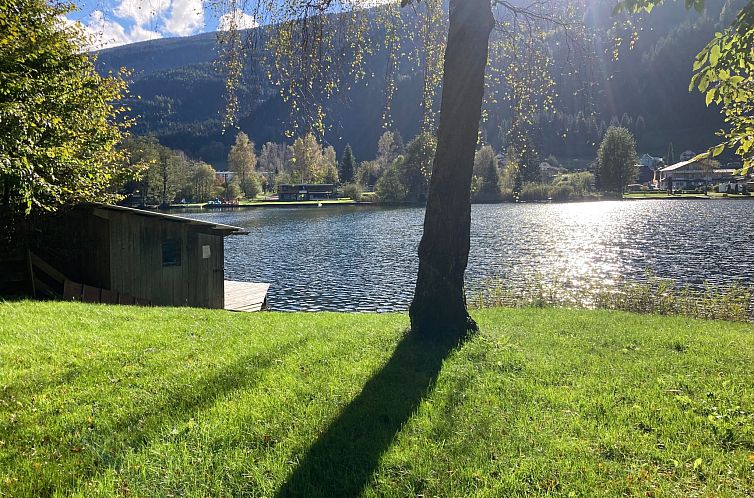 Appartement im Haus Seebrauer in Feld am See