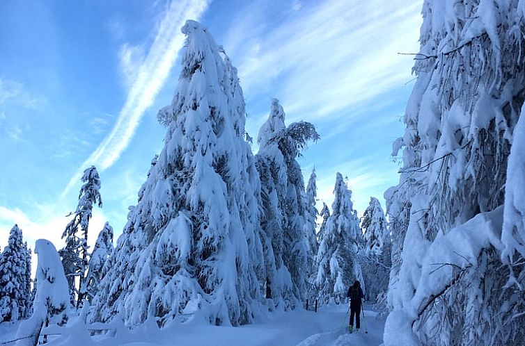Vakantiehuis in Radenthein