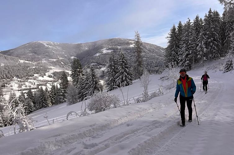 Vakantiehuis in Radenthein