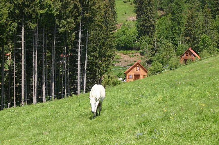 Karawankenpanorama S