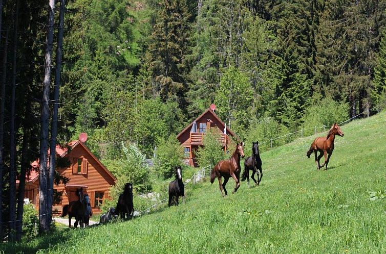 Karawankenpanorama S