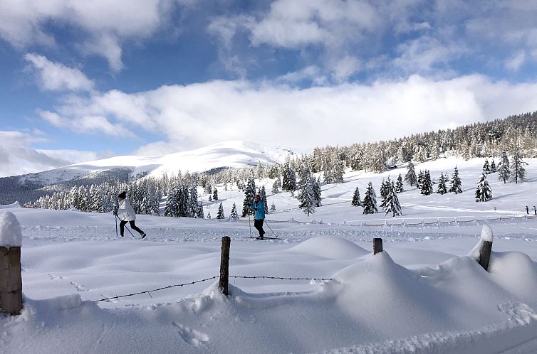 Appartement Ferienwohnung Gurkhof 1 - Nockhaus