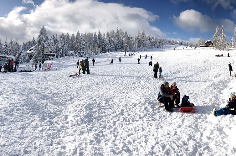 Appartement Ferienwohnung Gurkhof 1 - Nockhaus