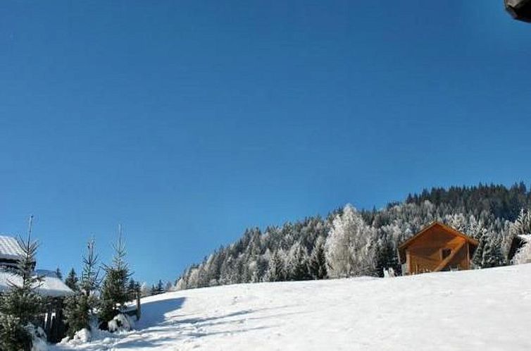 Vakantiehuis in Gnesau mit Grill