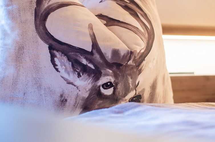 Vakantiehuis in Gemeinde Hermagor-Pressegger See mit Terrass