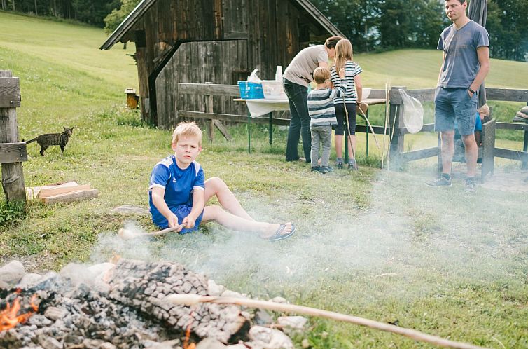 Vakantiehuis in Gemeinde Hermagor-Pressegger See mit Terrass
