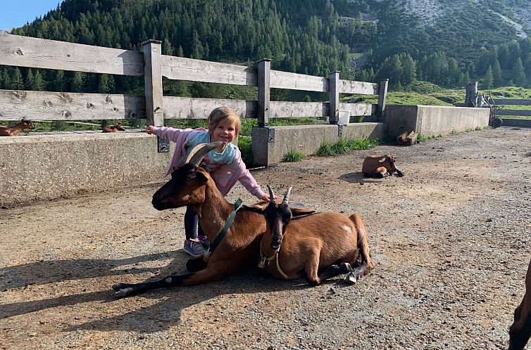 Vakantiehuis in Gemeinde Hermagor-Pressegger See mit Terrass