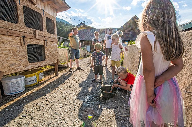 Vakantiehuis Alpen Chalet