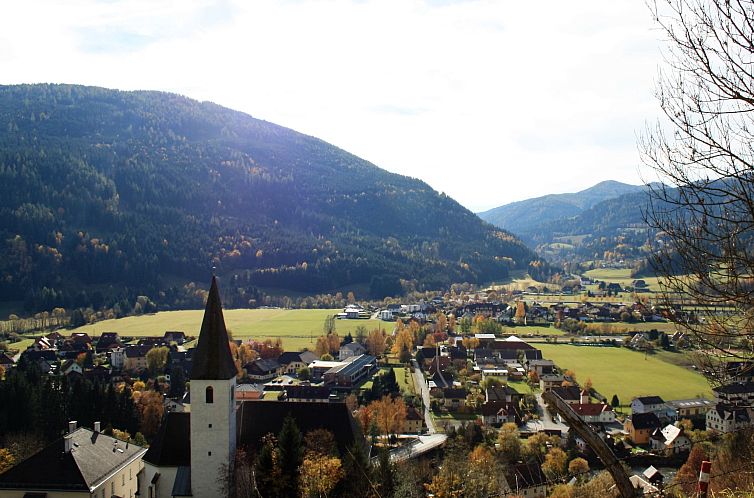 Vakantiehuis # 140 mit 4 Schlafzimmern & Sauna