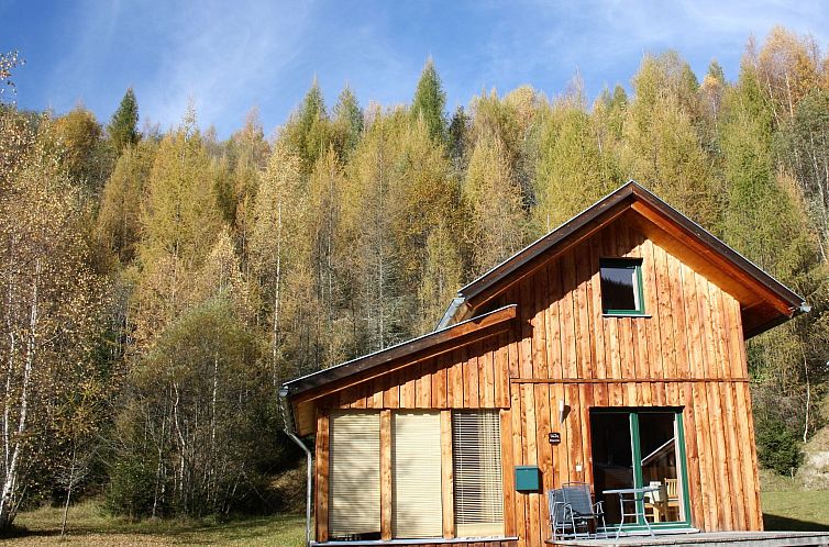 Vakantiehuis # 140 mit 4 Schlafzimmern & Sauna