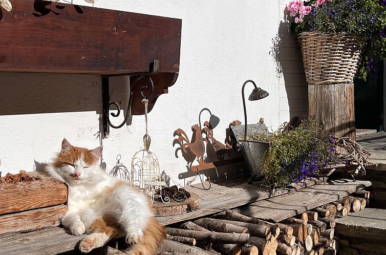 Appartement Knaushof