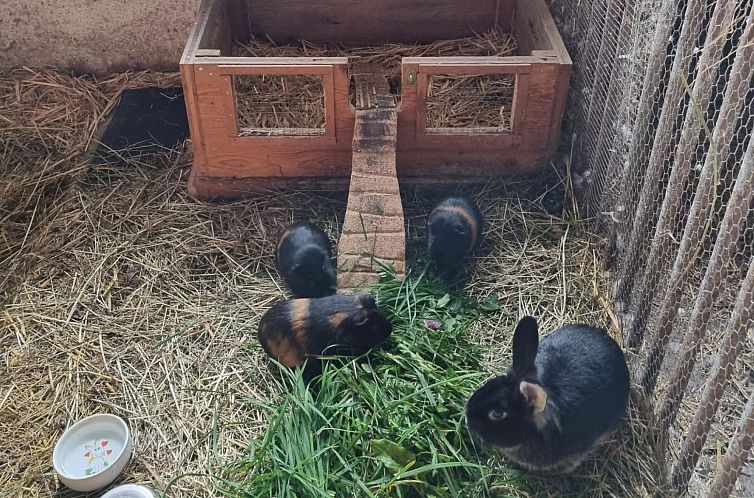 Appartement Kulmer Hof