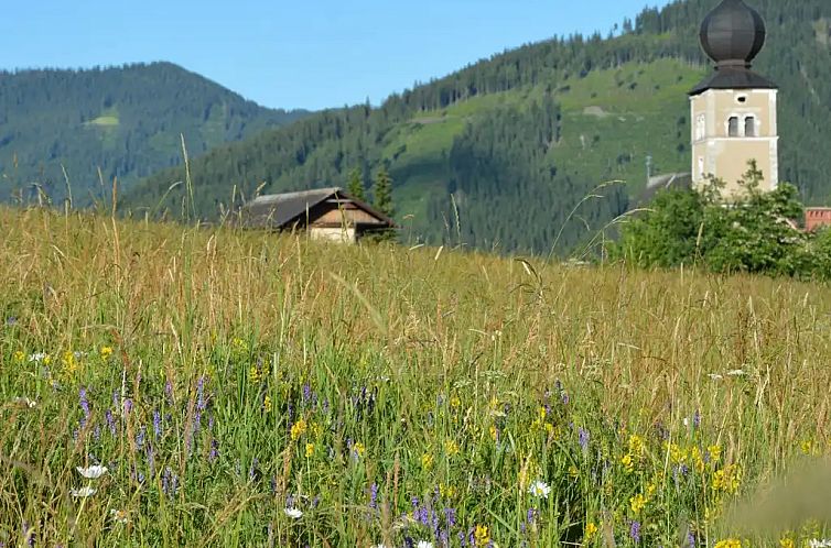 Chalet Edelweiss