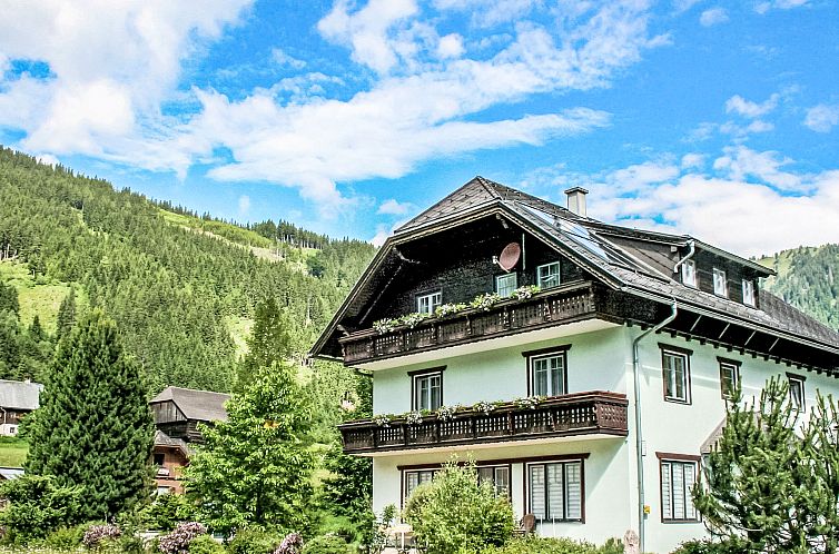 Guest house 11517501 - Apartment Steiermark - Appartement Almsommer