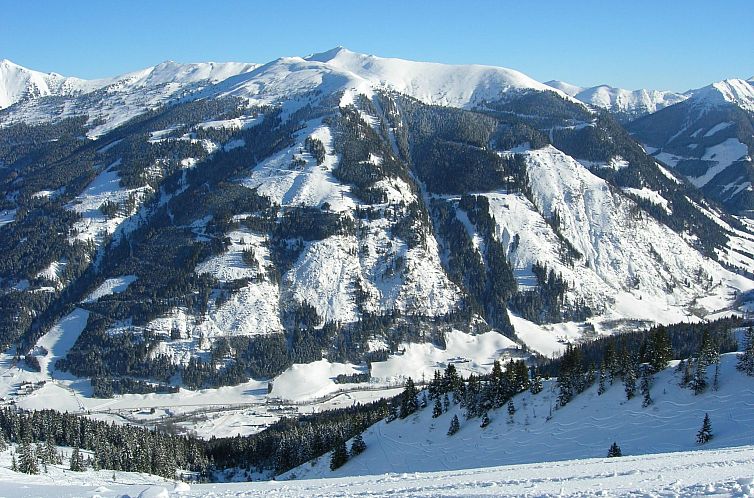 Appartement Ferienwohnungen Hohl