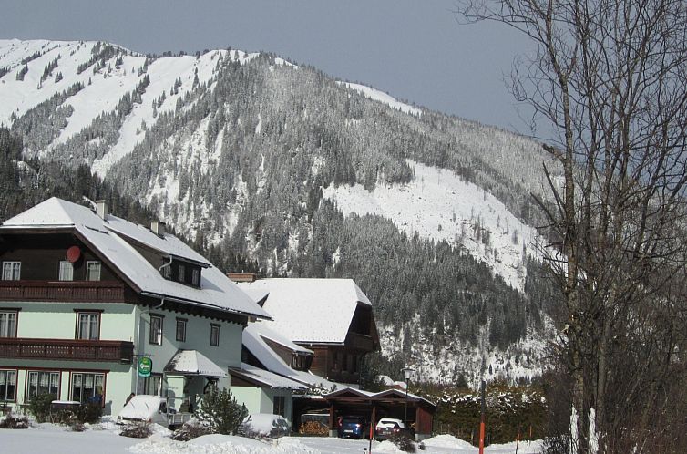 Appartement Ferienwohnungen Hohl