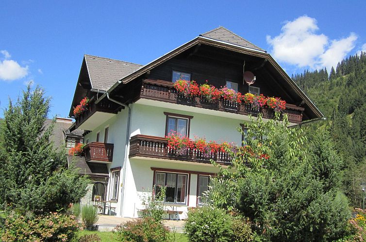 Guest house 11517516 - Apartment Steiermark - Appartement Ferienwohnungen Hohl