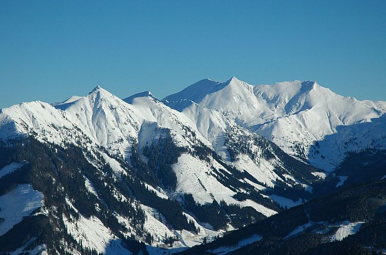 Appartement Ferienwohnungen Hohl