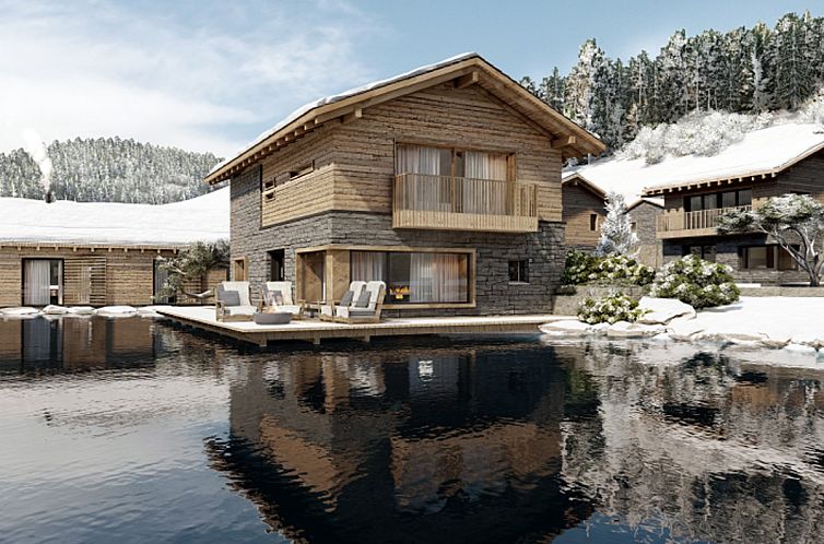 Chalet in Schladming