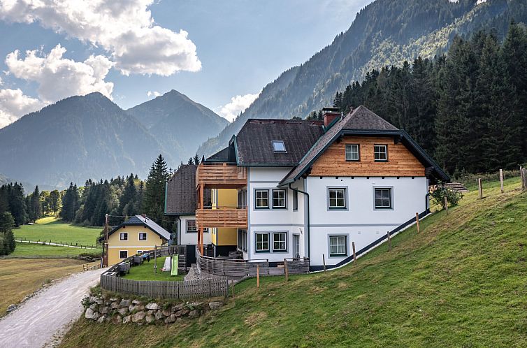 Verblijf 11519907 - Appartement Steiermark - Appartement Karlspitz