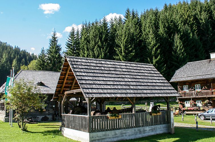 Vakantiehuis #1 mit IR-Sauna&Sprudelbad innen