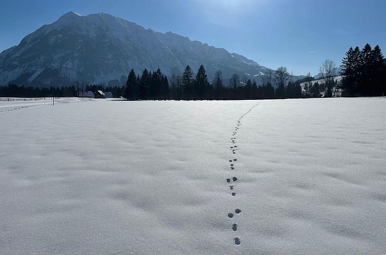 Landhaus Alpenblick Tauplitz