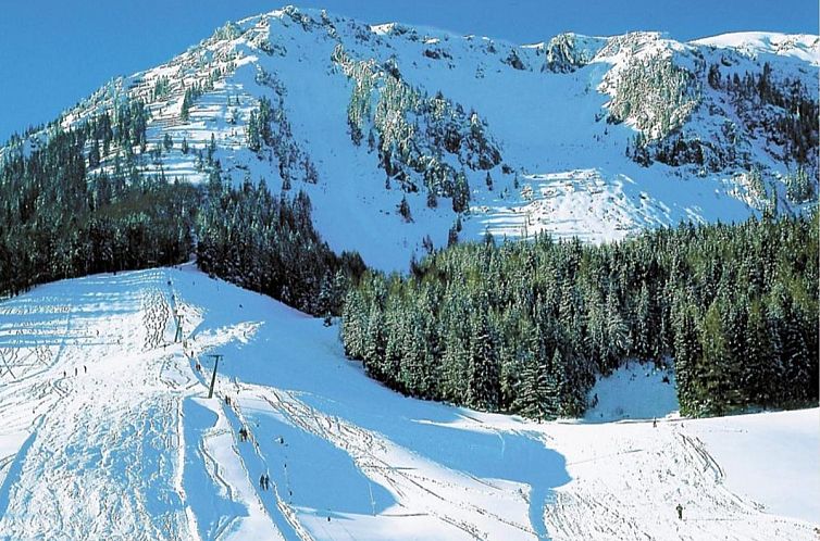 Almhütte Seebergalm