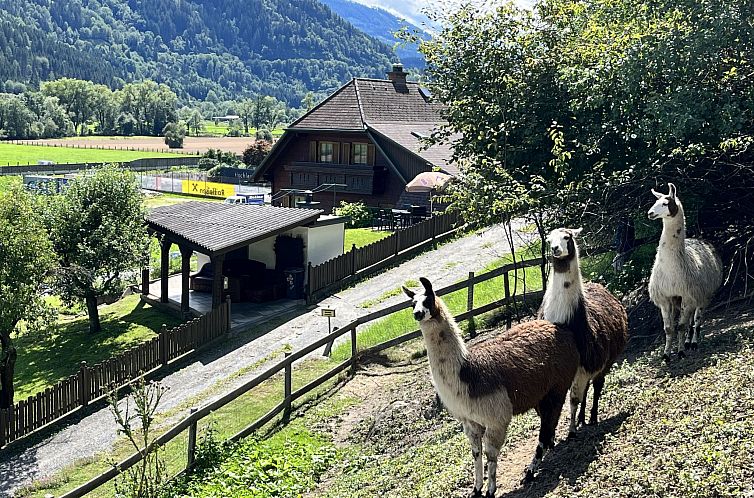 Verblijf 1153401 - Vakantiewoning Steiermark - Vakantiehuis Lama
