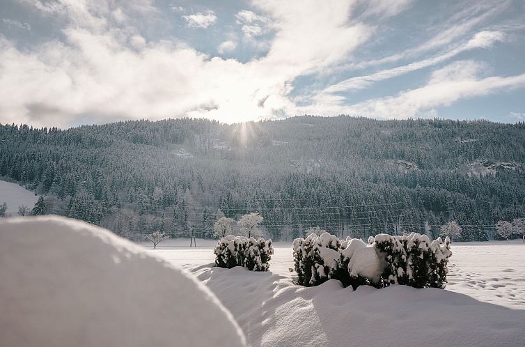 Vakantiehuis in Murau mit Privatem Pool