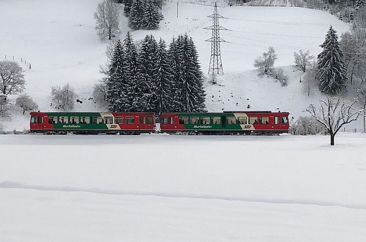 Vakantiehuis in Murau mit Privatem Pool