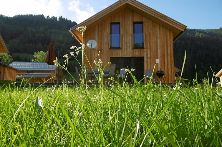 Vakantiehuis in Murau mit Privatem Pool
