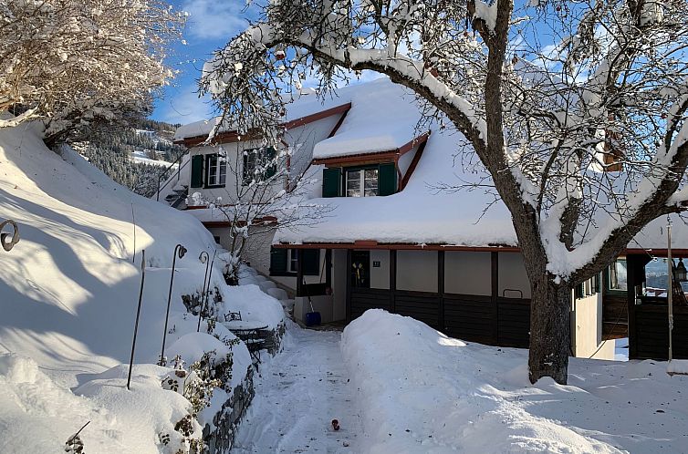 Appartement Chalet Elsa Murau