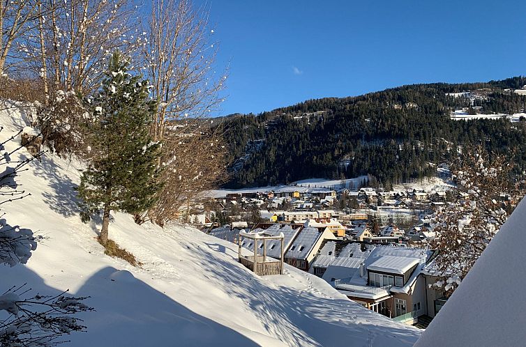 Appartement Chalet Elsa Murau