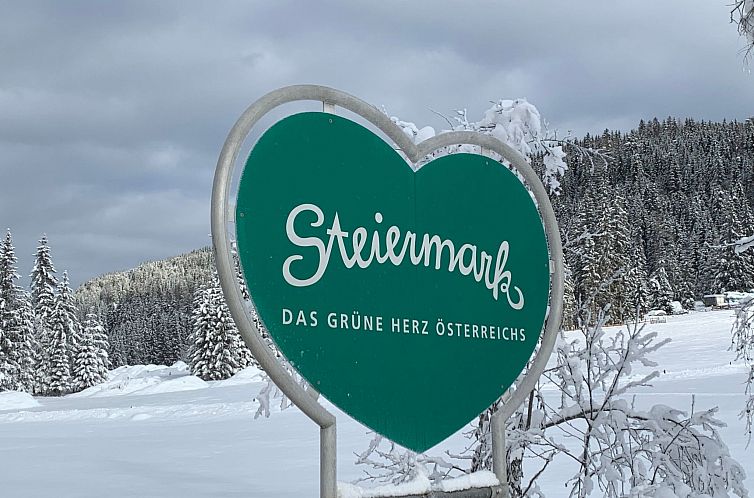 Appartement Chalet Elsa Murau