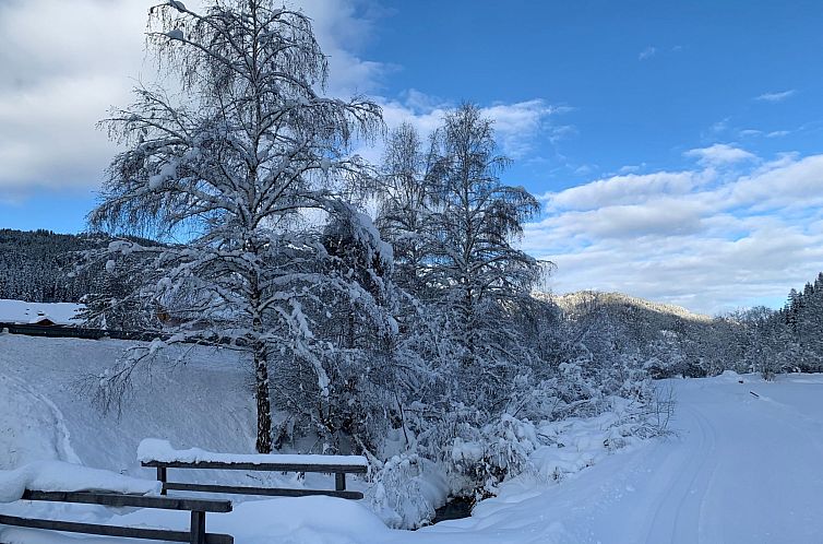 Appartement Chalet Elsa Murau