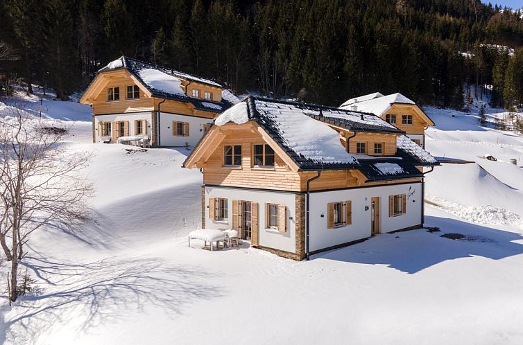 Die gemuetlichen Sperlingnest-Chalets in Donnersbachwald, Steiermark, Oesterreich, bieten einen atemberaubenden Blick auf eine verschneite Berglandschaft.